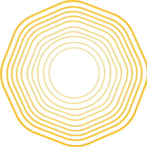 logo mt